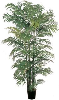 Areca Silk Palm Tree Today $169.99 4.3 (13 reviews)