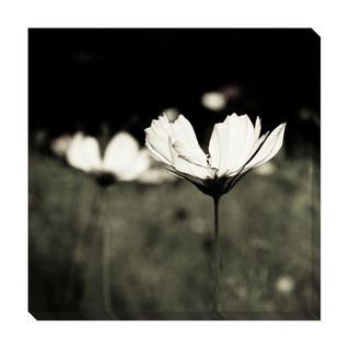 Black & White Floral II Oversized Gallery Wrapped Canvas