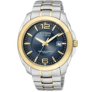 Citizen Mens Two tone Stainless Steel Eco Drive Watch