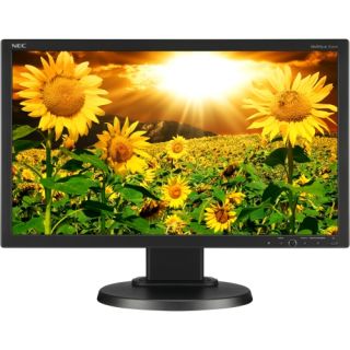 NEC Display MultiSync E201W 20 LED LCD Monitor