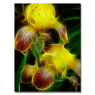 Kathie McCurdy Yellow Iris Canvas Art Today $54.99   $124.99