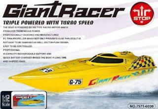 45 Giant Racer G 75 Mosquito Craft Huge RC Racing Speed