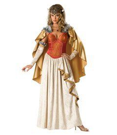 Viking Princess Costume Adult XXLarge Clothing