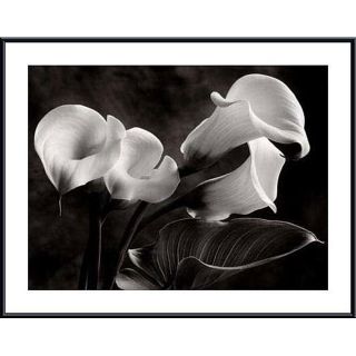Sondra Wampler Calla Lilies No. 1 Oversize Metal Framed Print