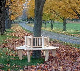 Small Cedar Adirondack Tree Bench with Back