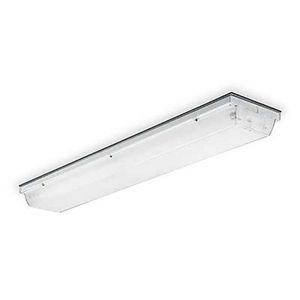 Lithonia VSL 2 40 120 ES Fixture, Hi Abuse, 40 W