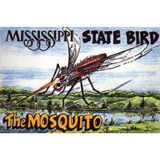 Mississippi Postcard 12318 State Bird Case Pack 750