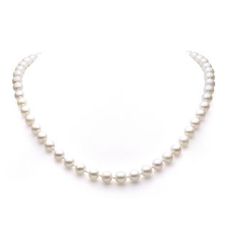 DaVonna 14k Gold White Akoya Pearl High Luster 16 inch Necklace (7.5 8
