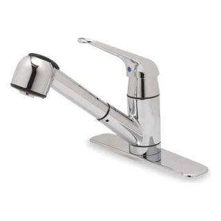 Trident 5DJD4 Kitchen Faucet, Lever Handle w/ Spray