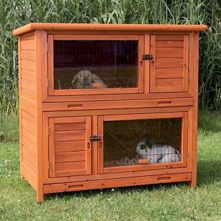 Hutch with Insulation Today $334.99 4.0 (1 reviews)