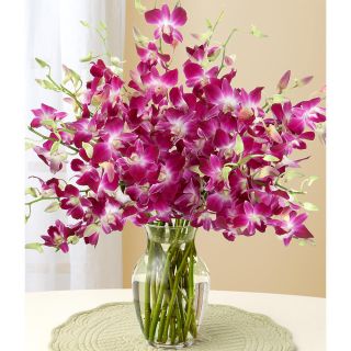 Mothers Day Preorder) Purple Dendrobium Orchids with Large Vase