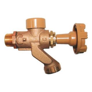 Woodford Mfg. 101CP Wall Faucet, Sillcock, Wall Opening 1In