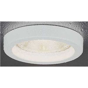 Lithonia 3H2O Trim, Recessed, Shower