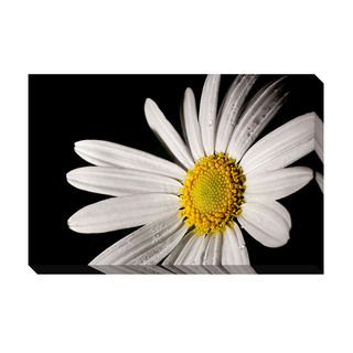 Daisy Oversized Gallery Wrapped Canvas