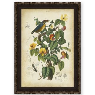 Guerin Bird in Nature II Wood Framed Art Today $155.99