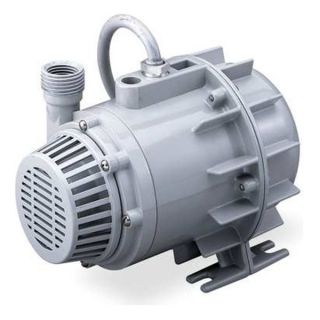 Dayton 1P809 Pump, Submersible