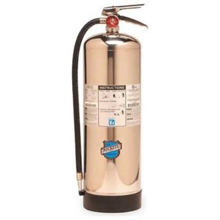 Buckeye 50000 Fire Extinguisher, Wet Chemical, A, 2A