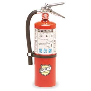 Buckeye 10914 Fire Extinguisher, Dry, ABC, 3A40BC